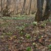Turystyczna Droga Krzyżowa na Tarnicę [Wielki Piątek, 2 kwietnia]