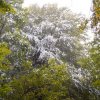 Bieszczady [14-16 października]