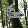Korona Gór Świętokrzyskich: Niestachów - Zgórsko [6 maja]
