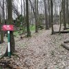 Rezerwat przyrody "Ostrężnik"