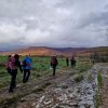 Tarnica [28 października]
